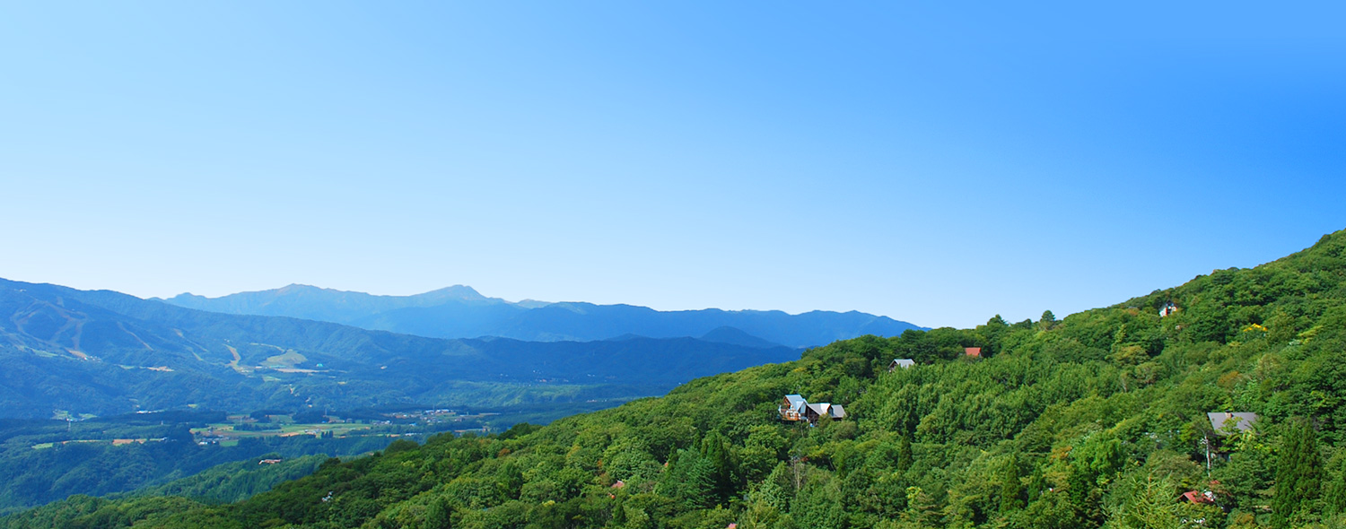 ニューパークひるが野 土地販売価格　58万円～