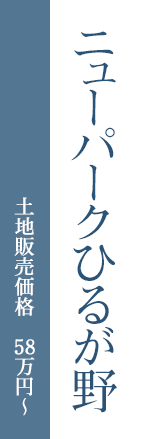 ニューパークひるが野 土地販売価格　58万円～