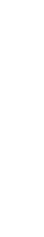 希少なロイヤルパープルが美しいアヤメ畑。