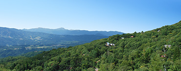 ニューパークひるが野