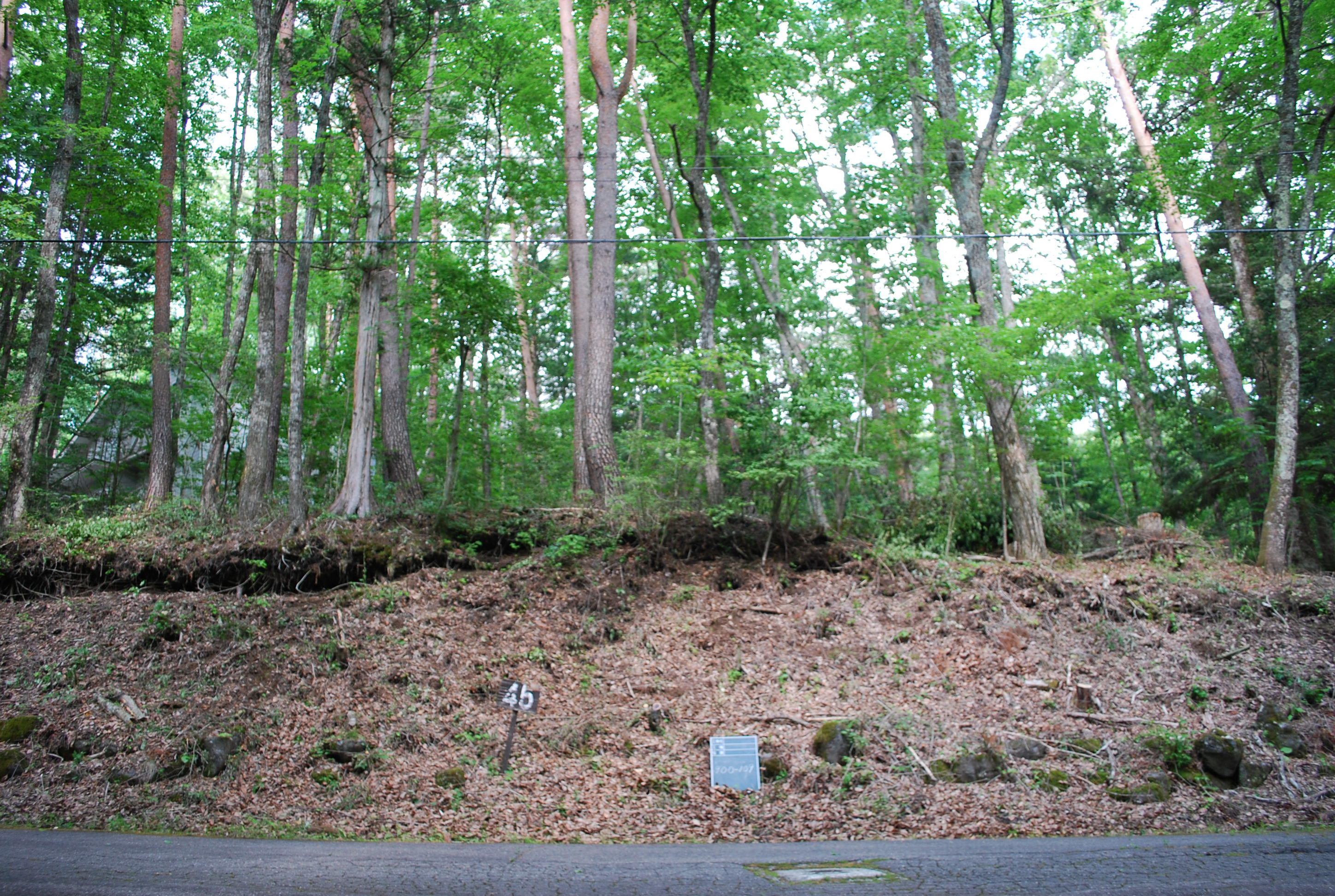 正面からの写真です。	