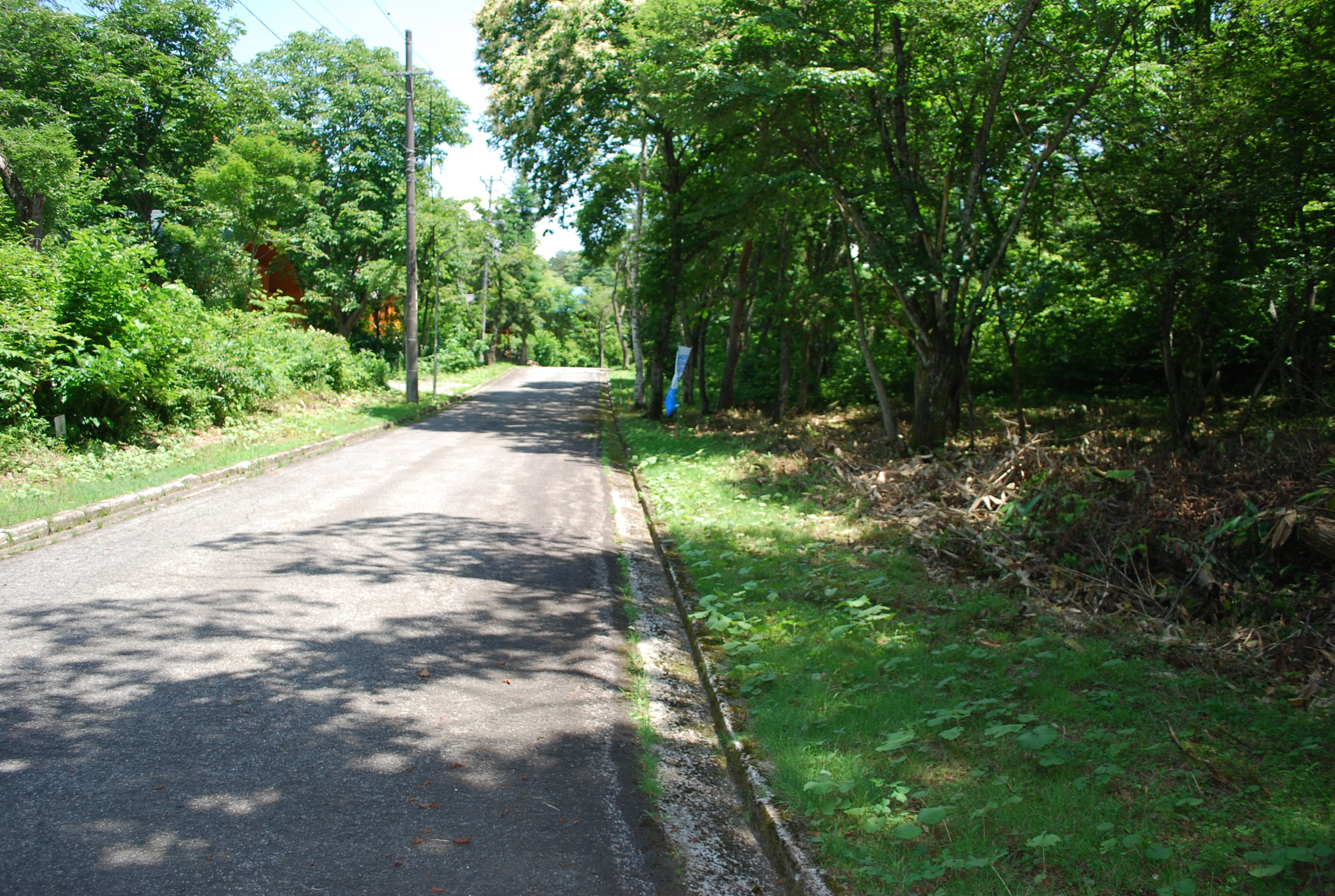 全面道路の写真です。	