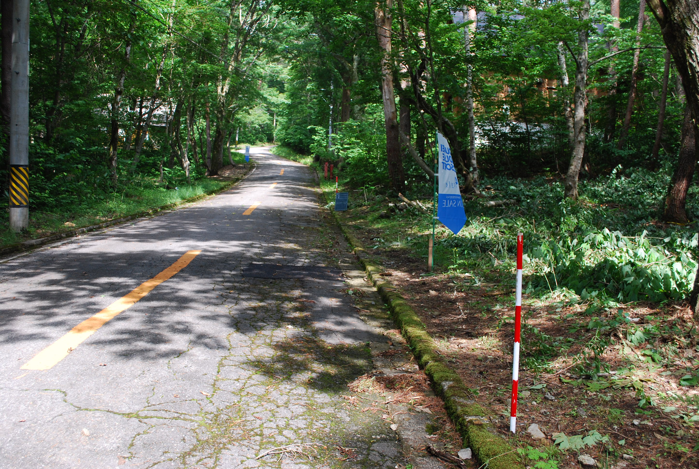 全面道路の写真です。	