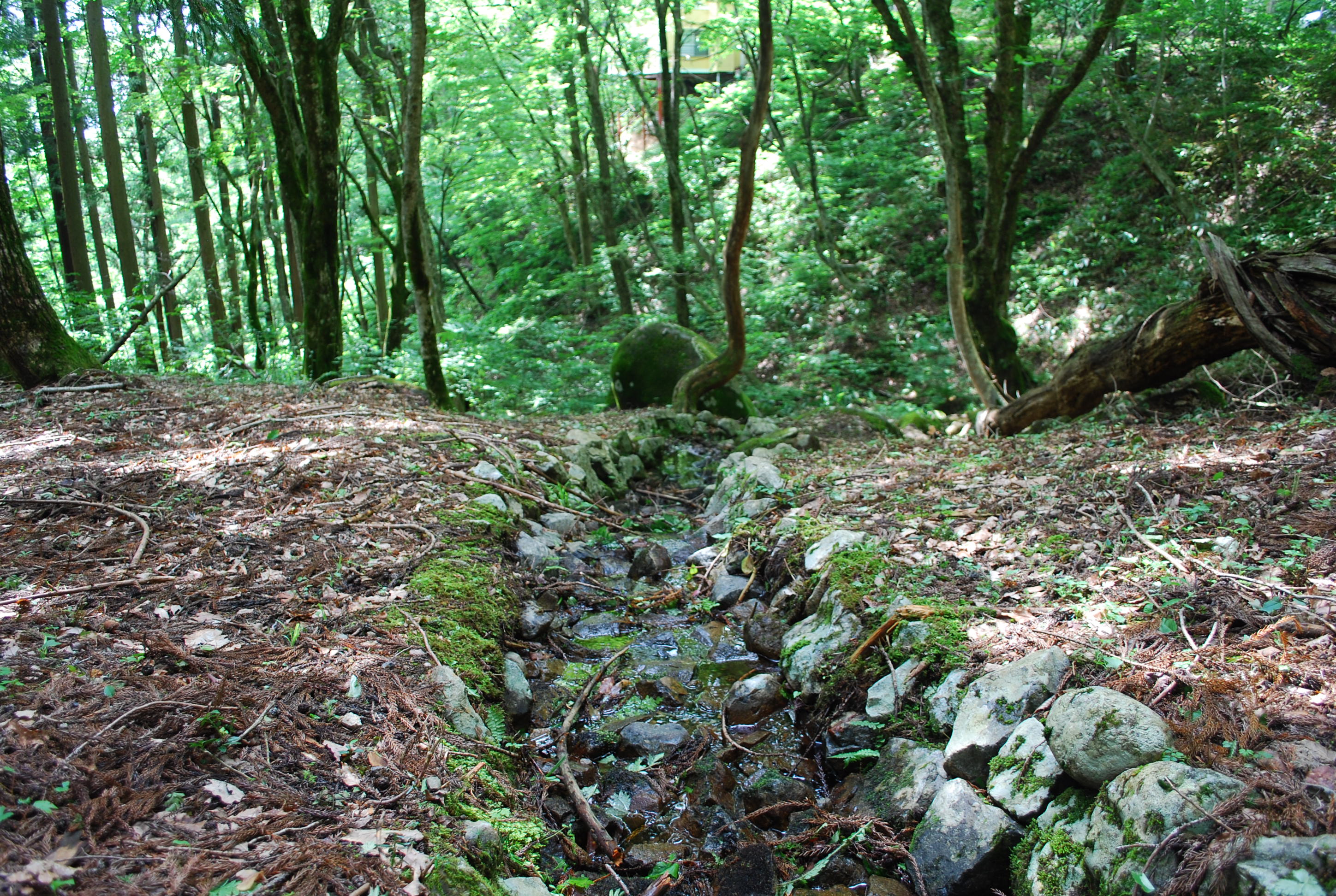 敷地内の沢の写真です。	