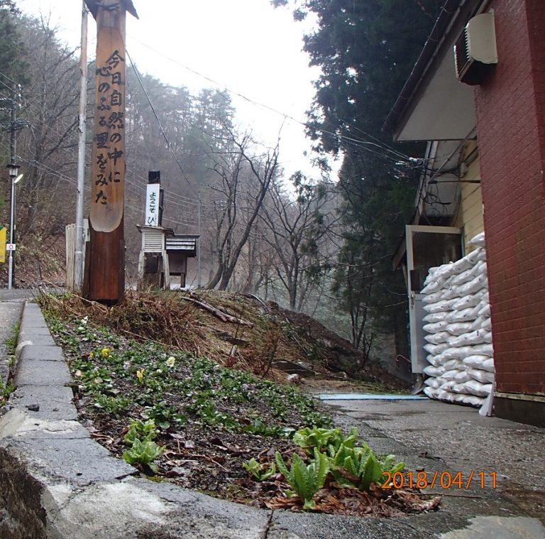 ひるがのは雨です|トウメイハウス ひるがのは雨です|トウメイハウス
