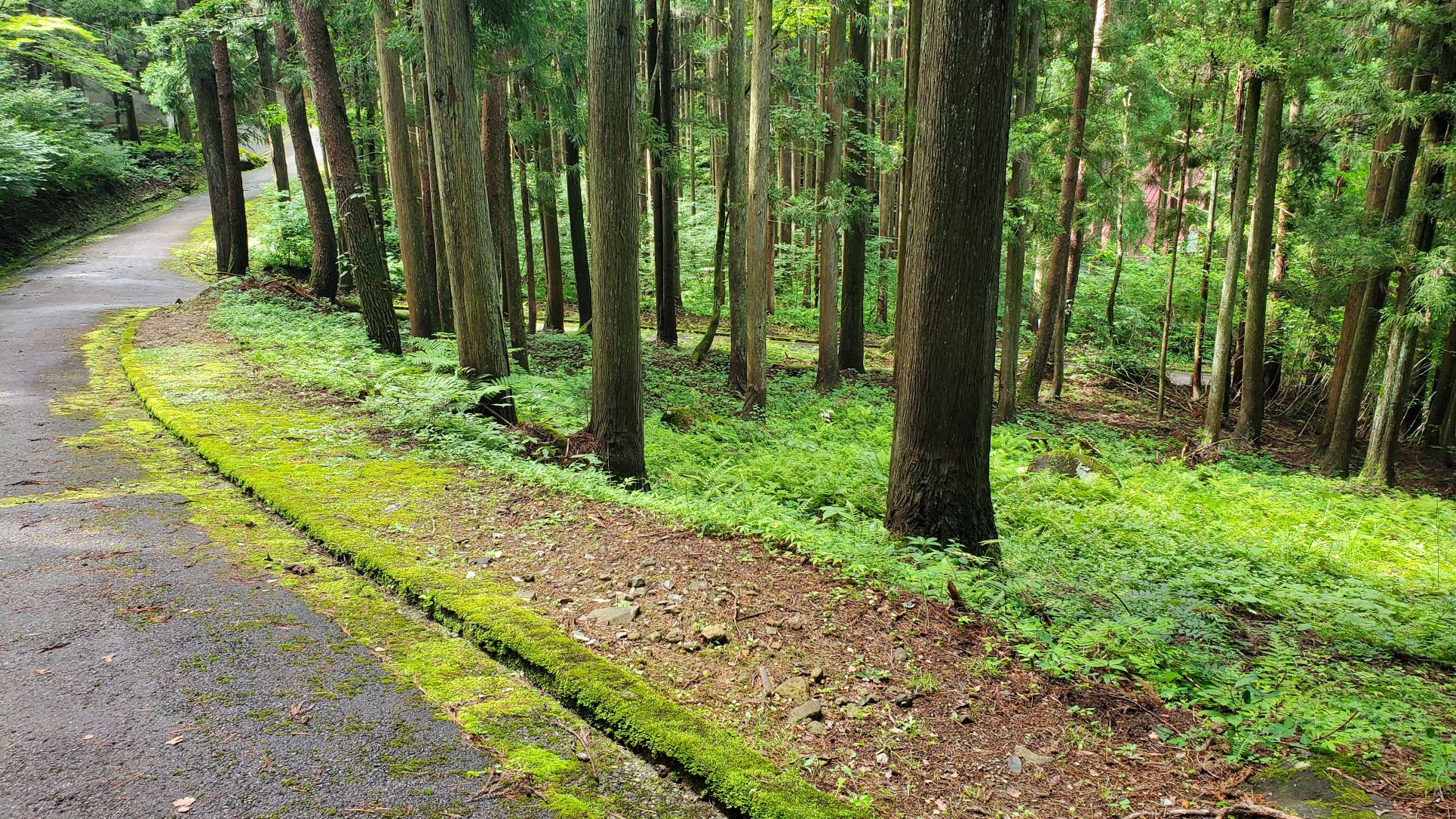 東側からの写真