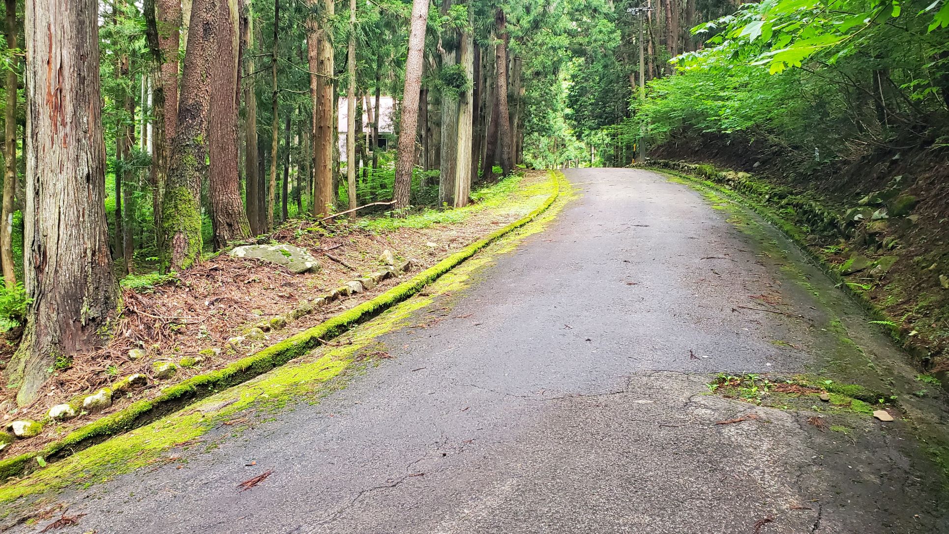 東側道路