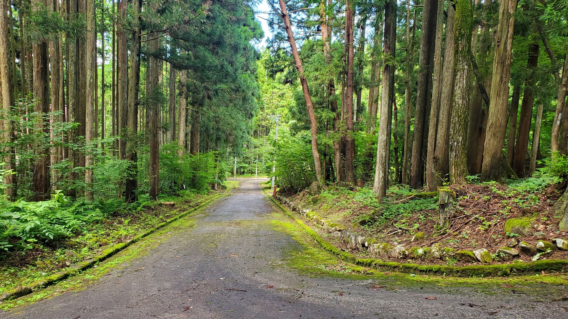 南側道路
