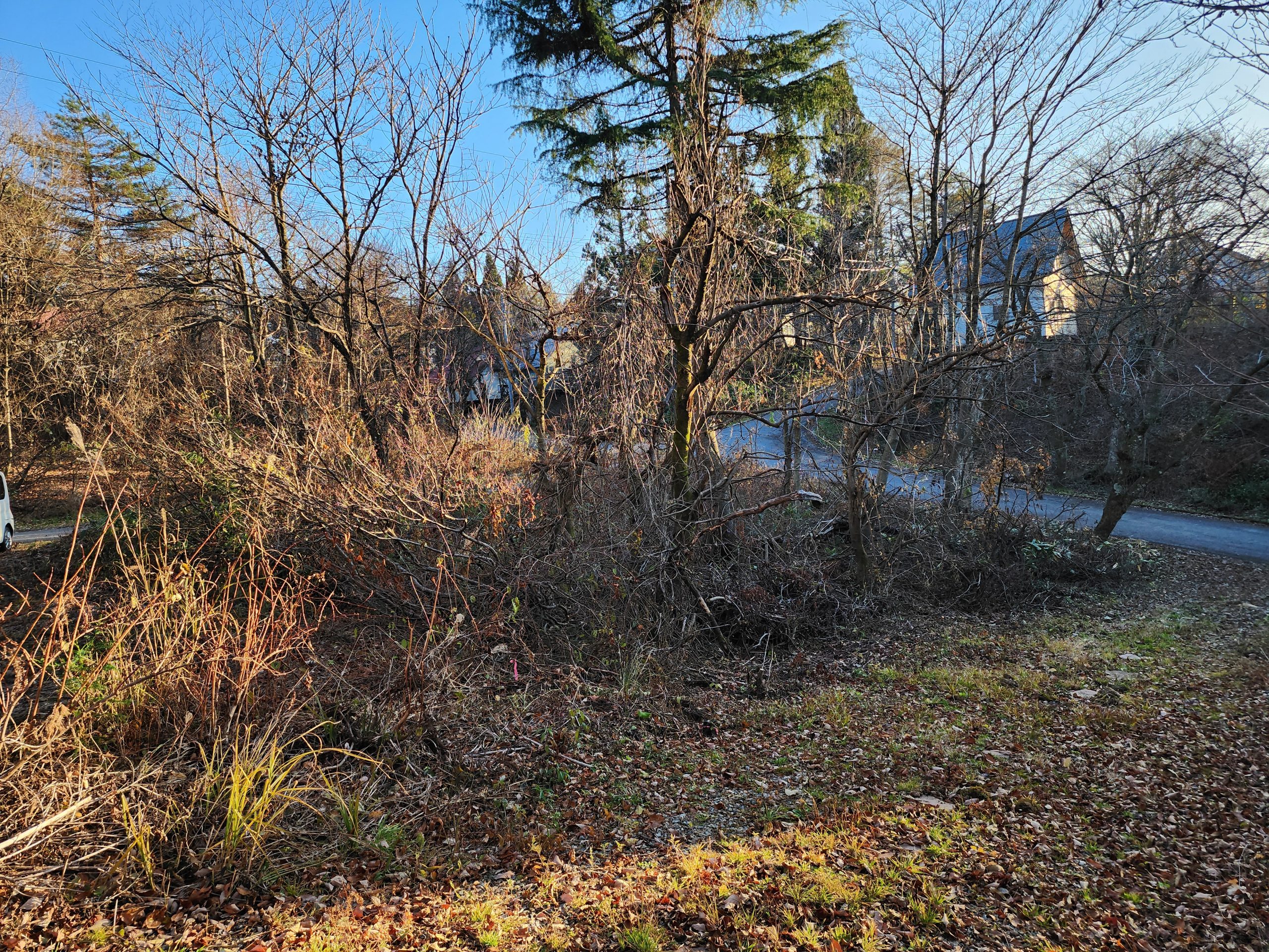 敷地内の写真です。