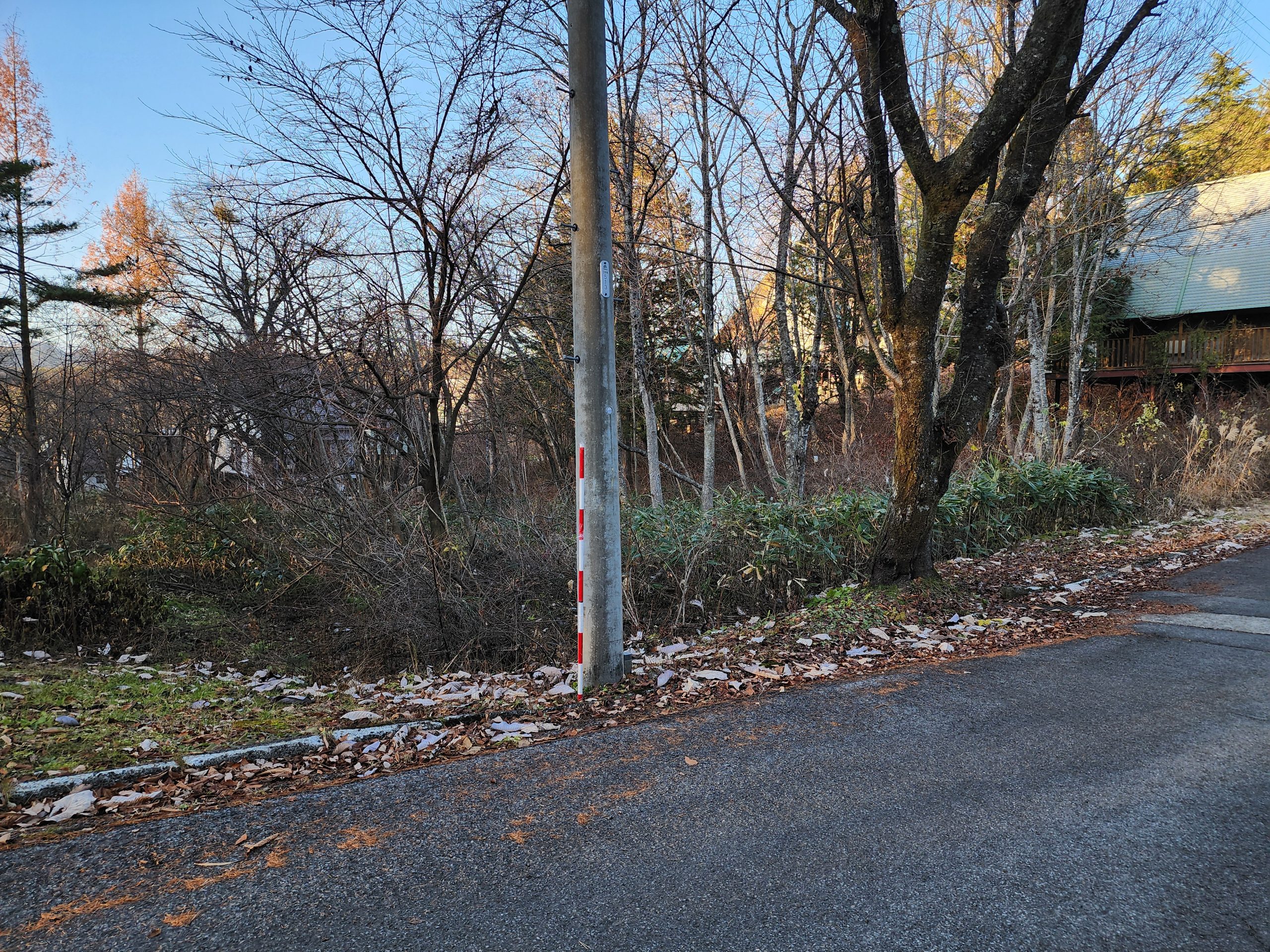 南側からの写真です。	