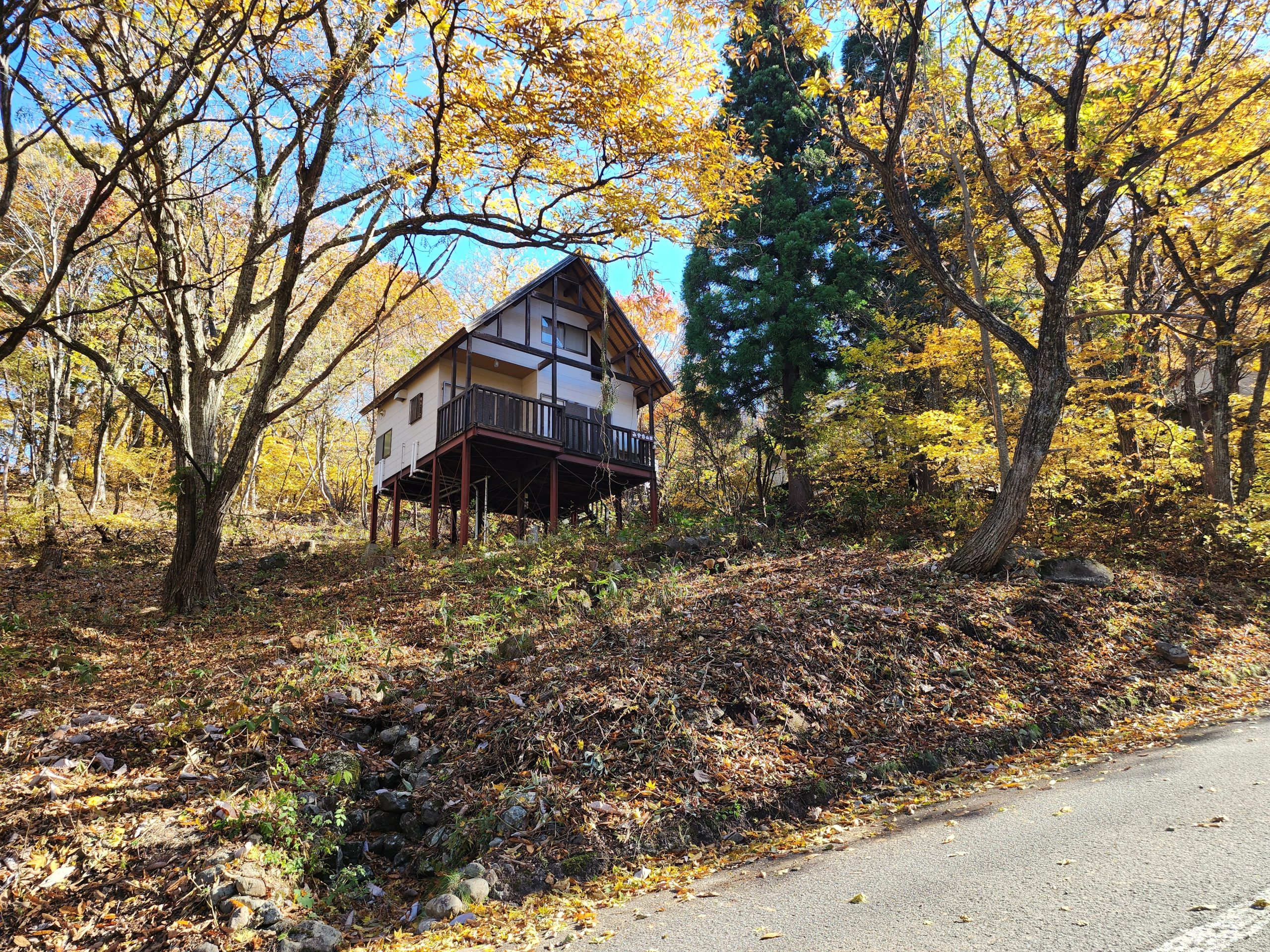 外観	（リフォーム前）